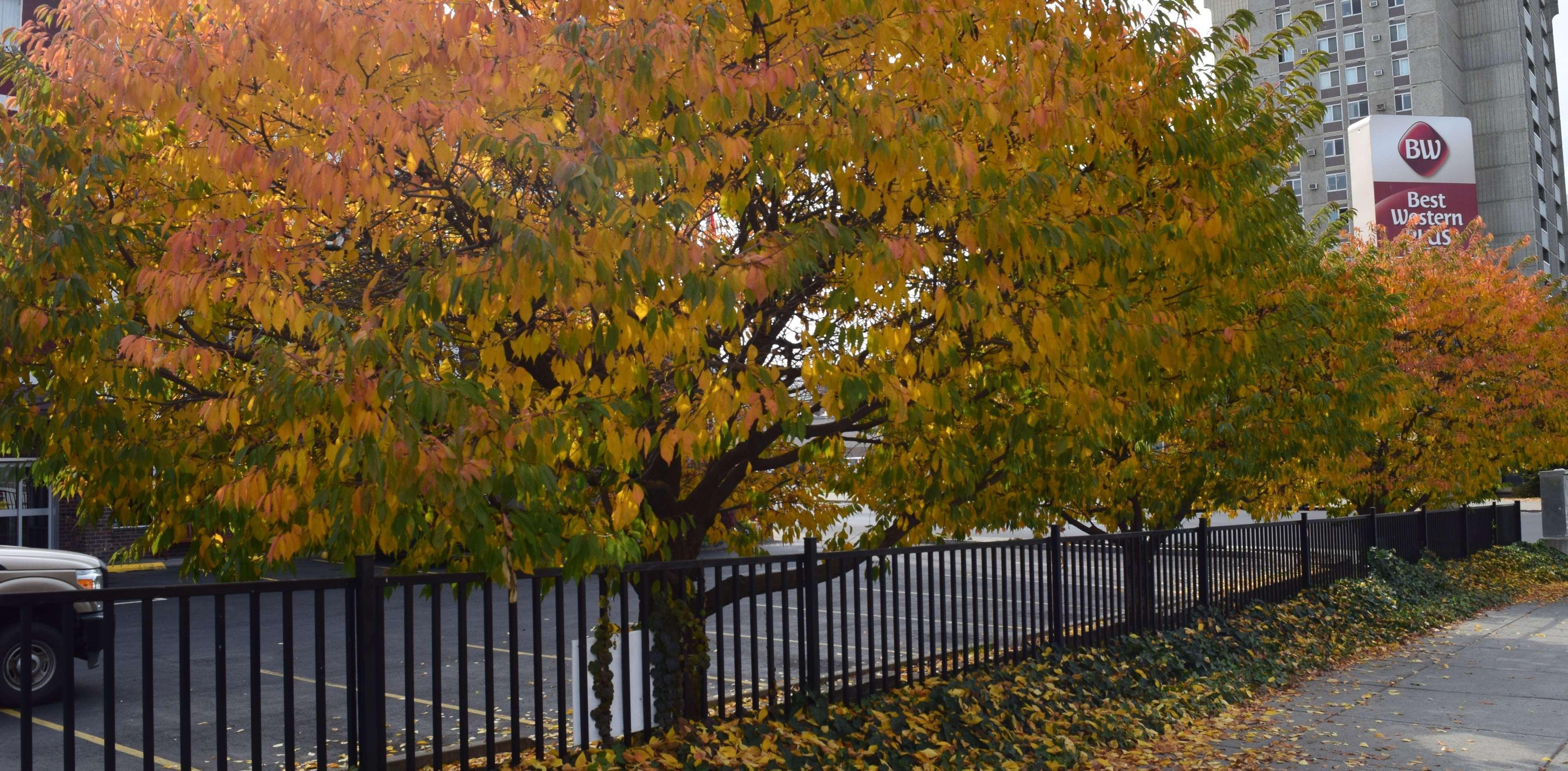 Best Western Plus City Center Spokane Dış mekan fotoğraf